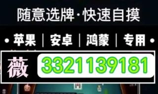 玩家必备“天天摸麻将开挂神器下载安装”挂辅助教程